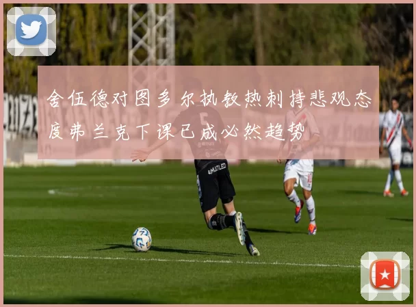 舍伍德对图多尔执教热刺持悲观态度弗兰克下课已成必然趋势