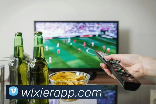 威廉希尔APPAPP 封面图